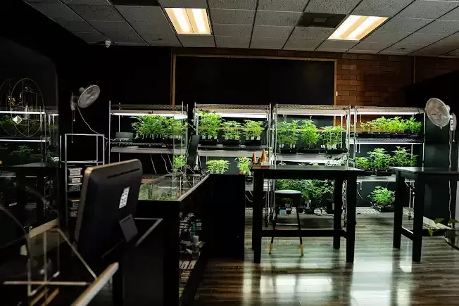 The inside of Natural Remedies East Store in Portland Oregon